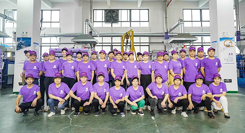 professional team